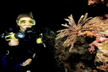 غوص ليلي 5 نجوم في الغردقة | اكتشف أسرار البحر الأحمر بعد الغروب | إيجيبت دايفرز