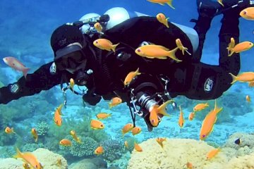 أكواتيك وورلد طابا | فندق موفنبيك | غوص وأنشطة مائية | واتساب